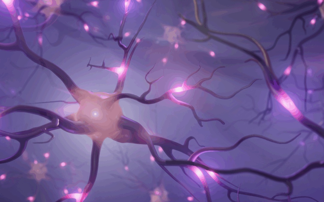 Cómo Aprendemos y Nos Motivamos: Neurociencia para una Educación Eficaz