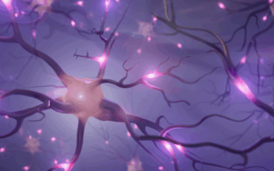 Cómo Aprendemos y Nos Motivamos: Neurociencia para una Educación Eficaz